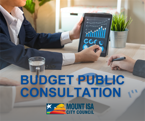 Budget Public Consultation 1.png