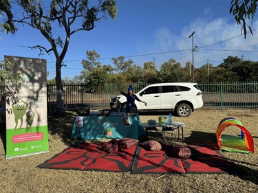 F5F at the Park2.jpg