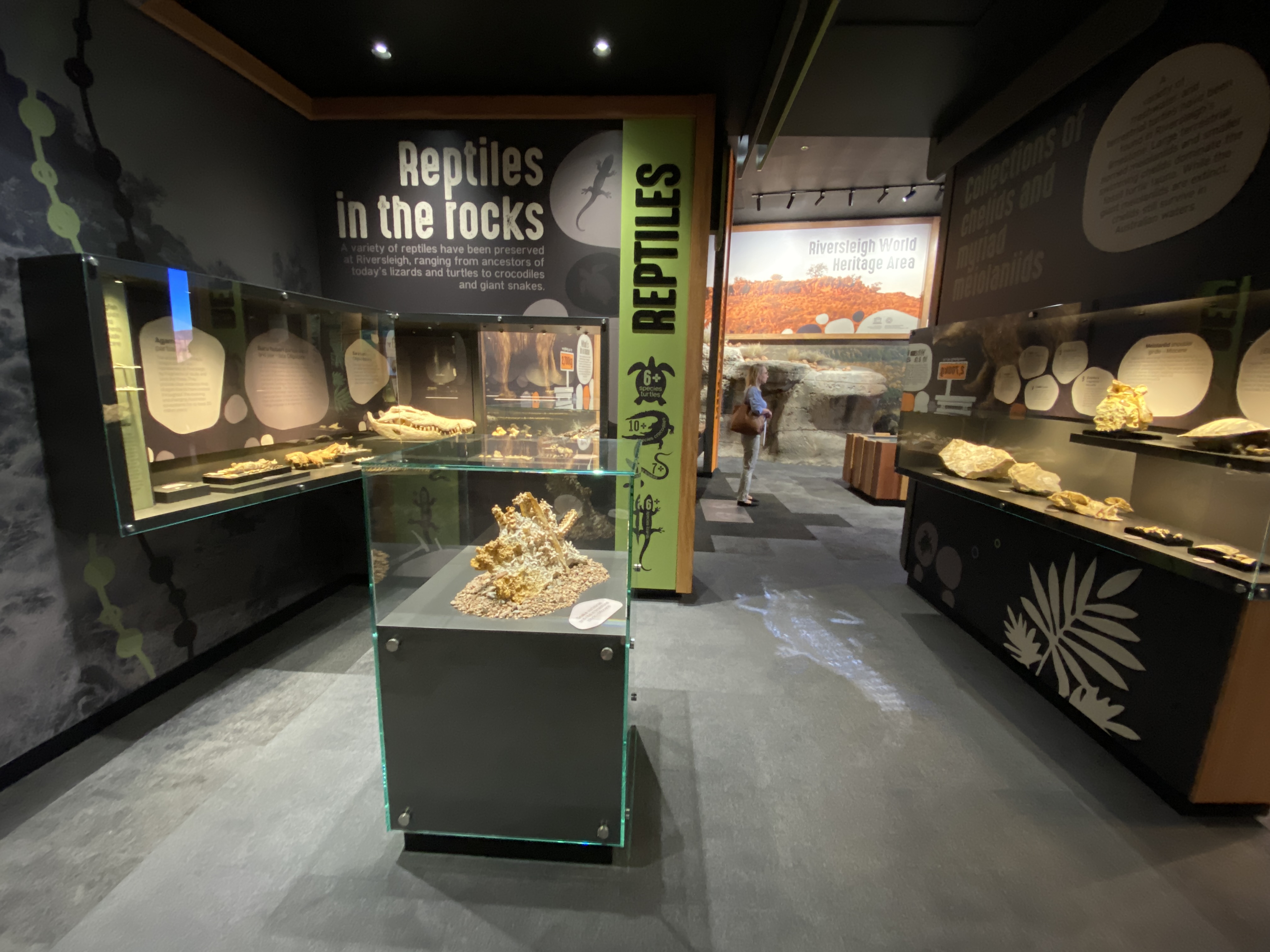 Riversleigh Fossil Discovery Centre