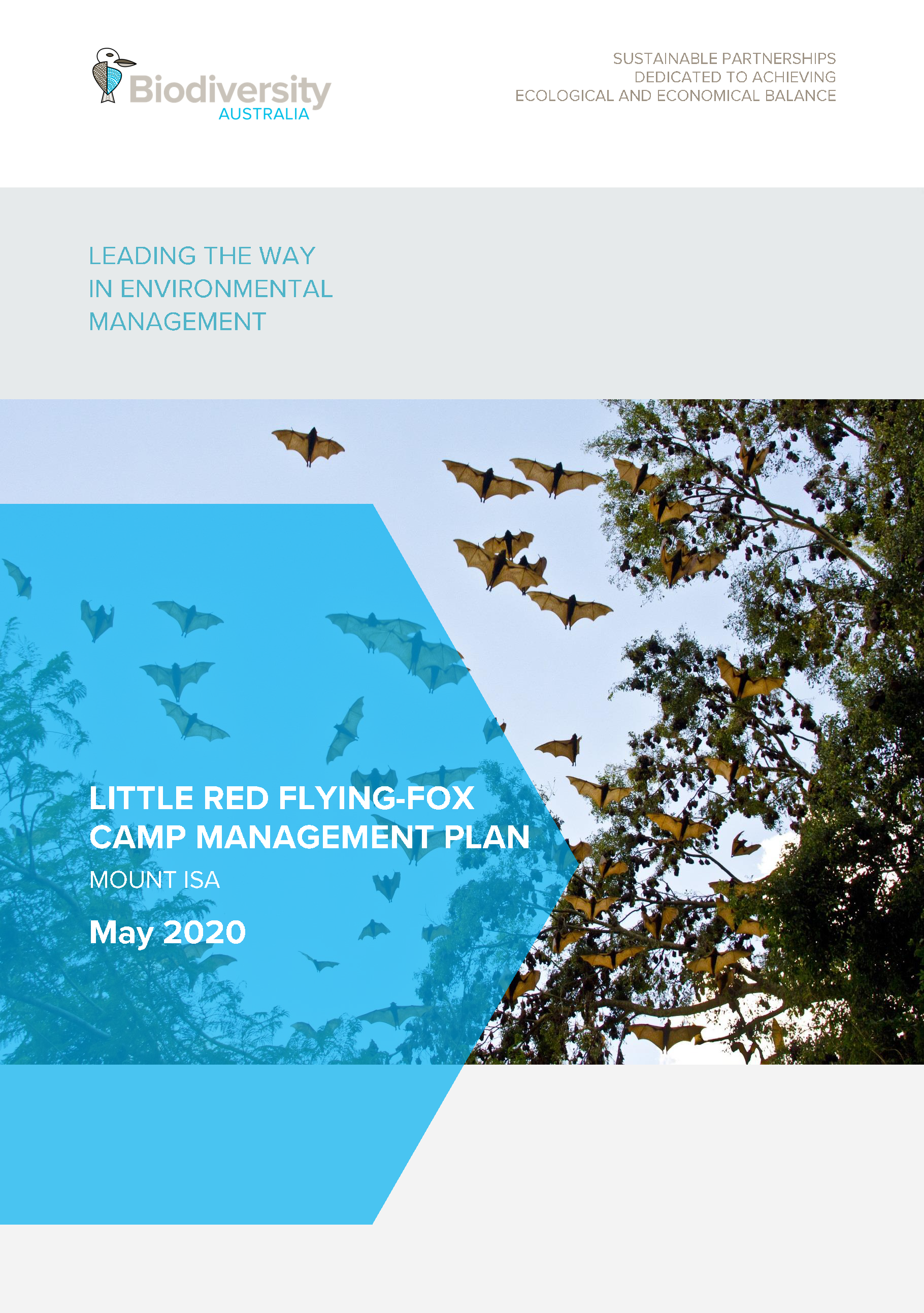 Mount Isa Little Red Flying Fox Camp Management Plan and Feasibility Study
